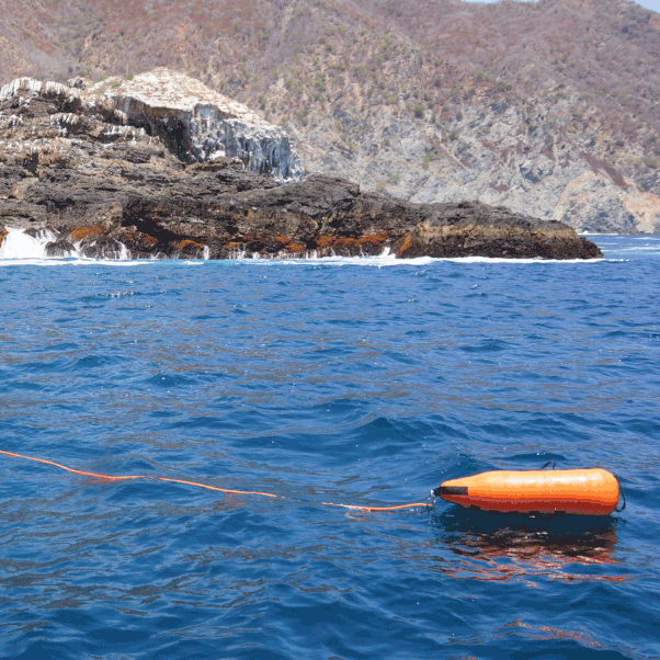 Vinyl Float Line Assembly - Image 3